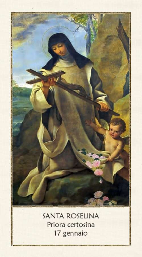 Santa Roselina